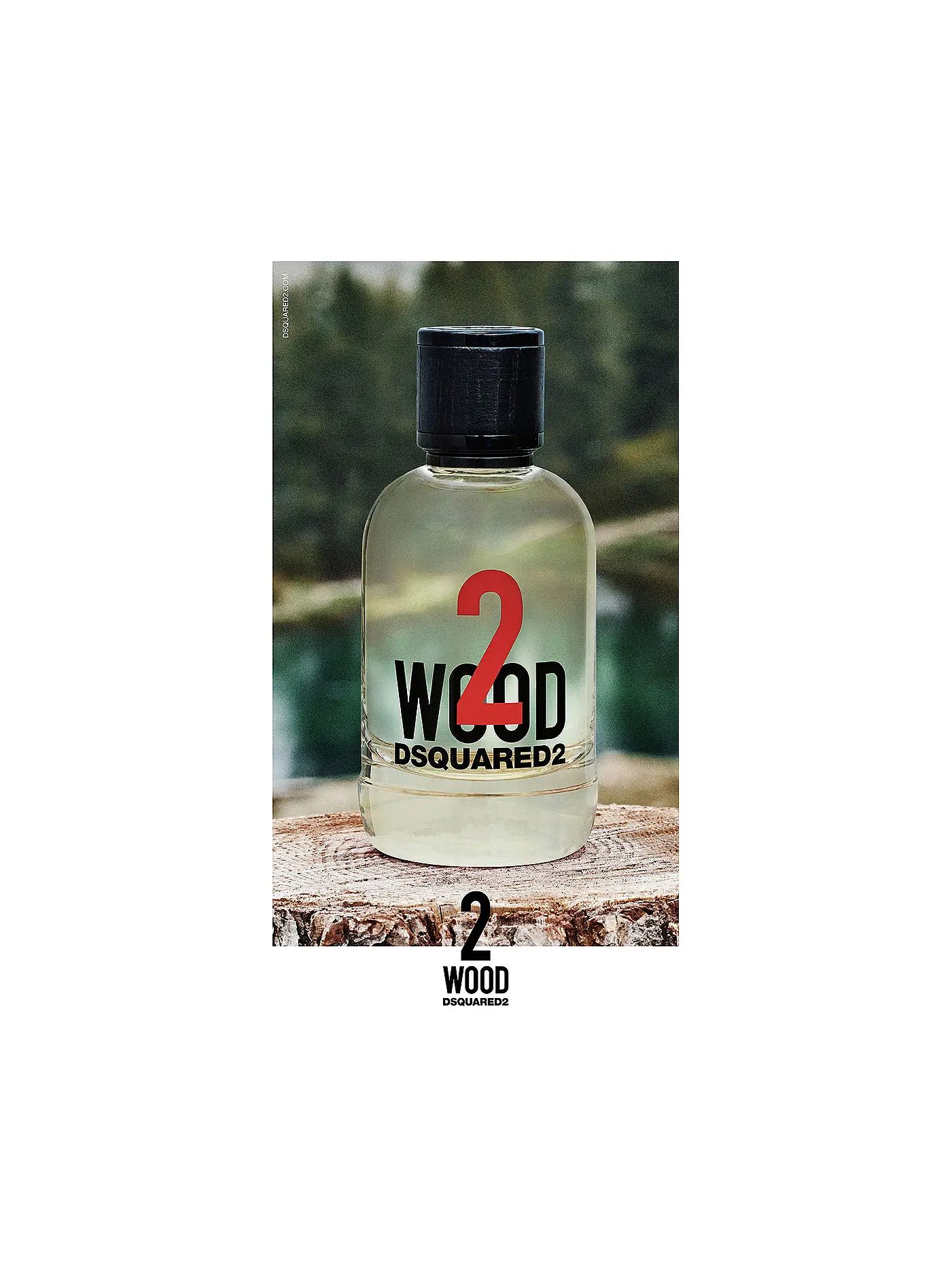 DSQUARED2 | 2 Wood Eau de Toilette 100ml | 